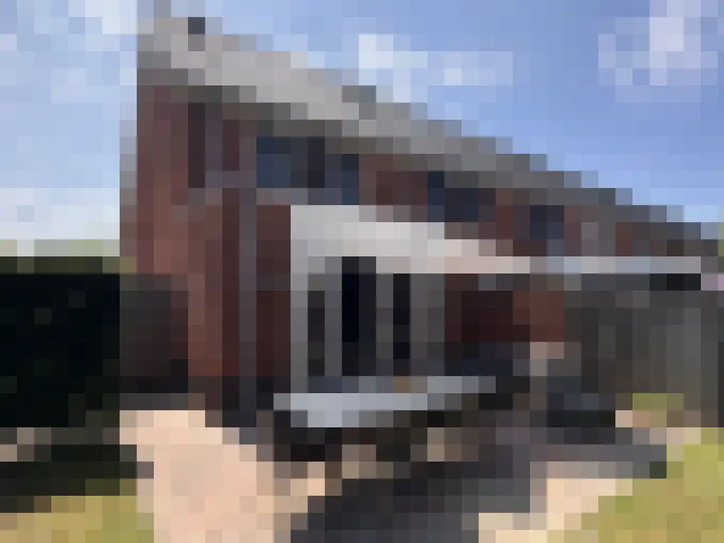 Pastoor Vereeptstraat 4 Valkenswaard thumbnail 24