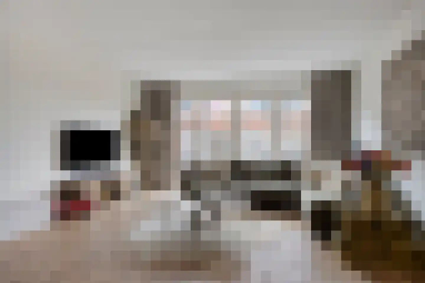 Pastoor Vereeptstraat 4 Valkenswaard thumbnail 4