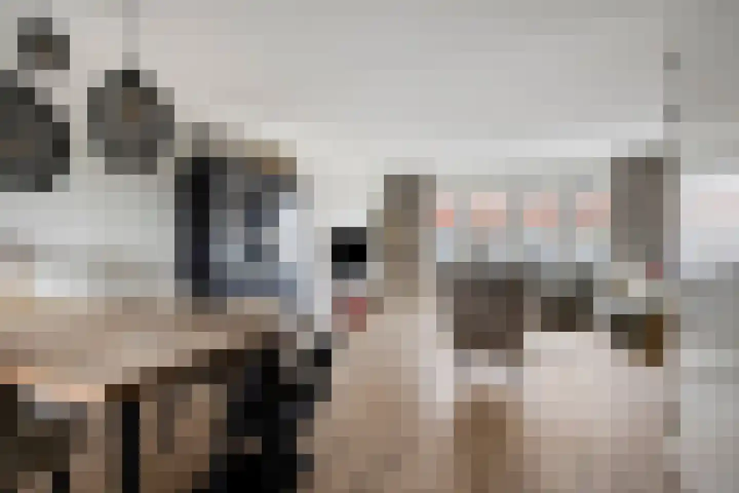 Pastoor Vereeptstraat 4 Valkenswaard thumbnail 6