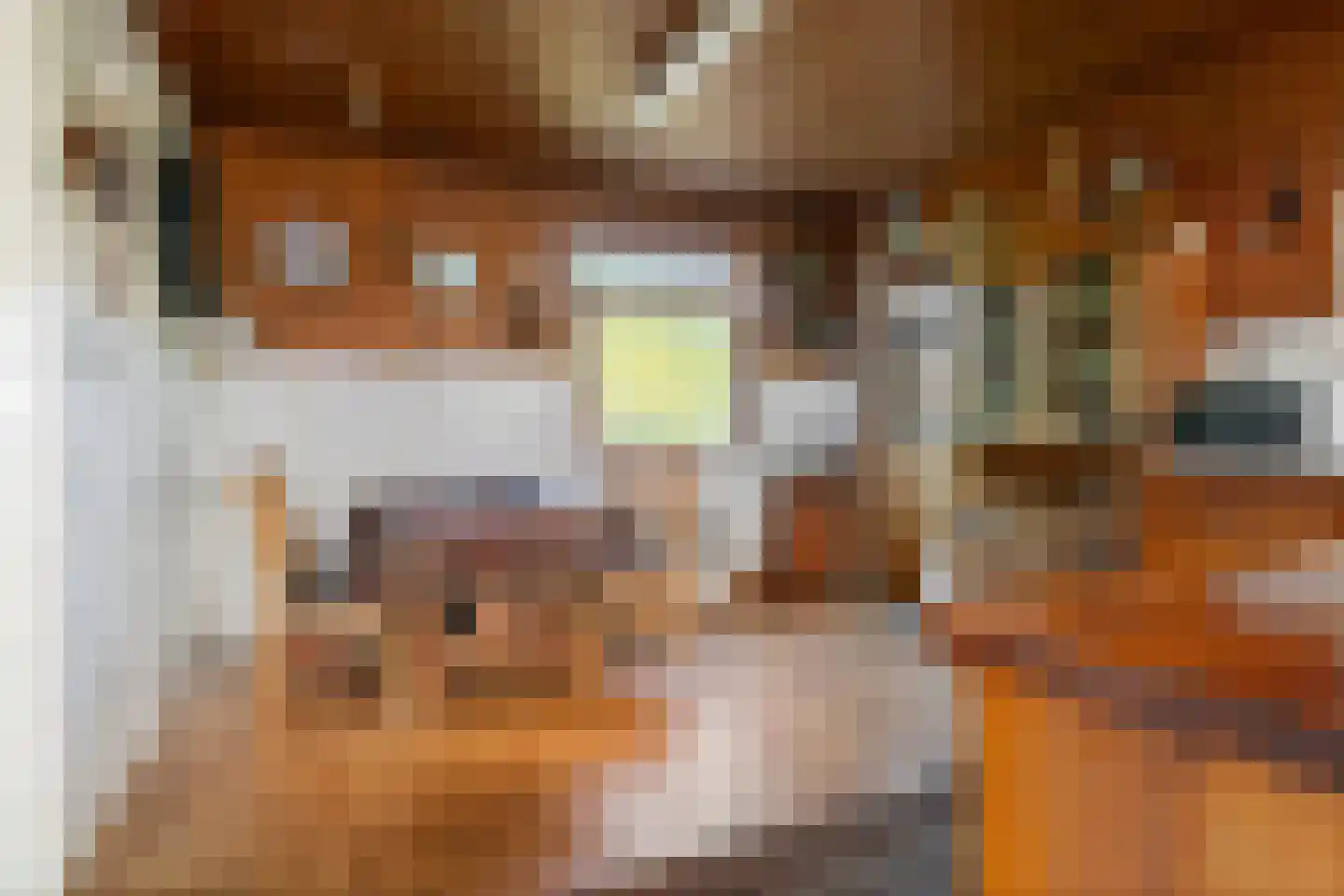 Pastoor Verheijdenstraat 9 Noordhoek thumbnail 22