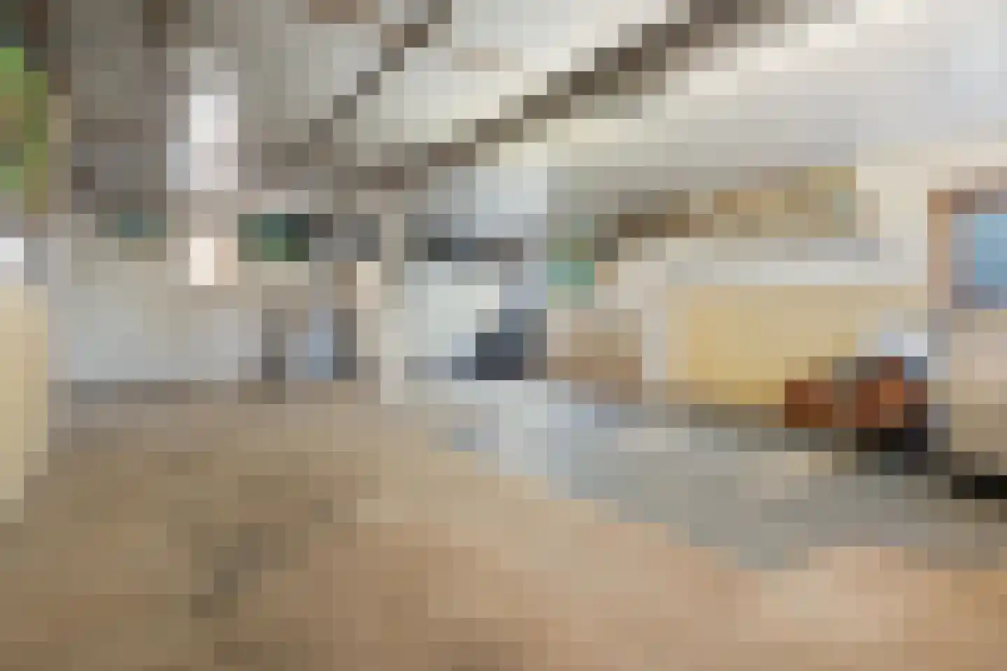 Pastoor Verheijdenstraat 9 Noordhoek thumbnail 49