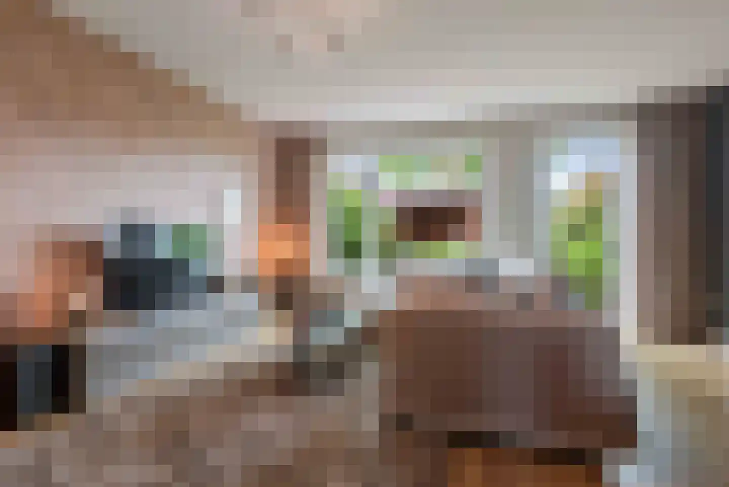 Pastoor Verhoevenhof 21 Schijndel thumbnail 16