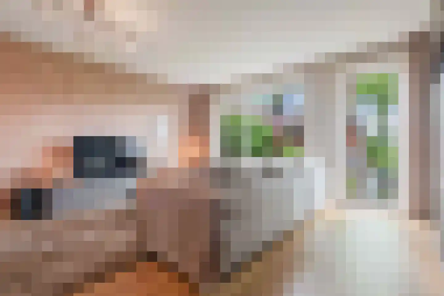 Pastoor Verhoevenhof 21 Schijndel thumbnail 17