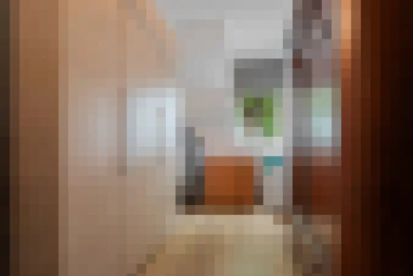 Pastoor Verhoevenhof 21 Schijndel thumbnail 28