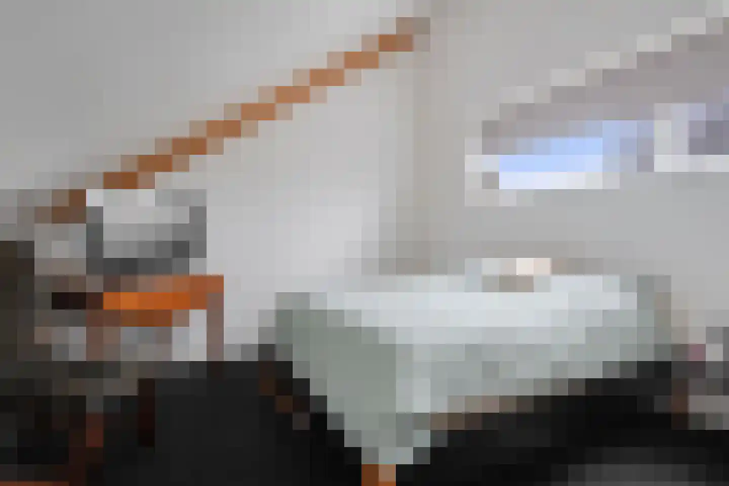 Pastoor Verhoevenhof 21 Schijndel thumbnail 36