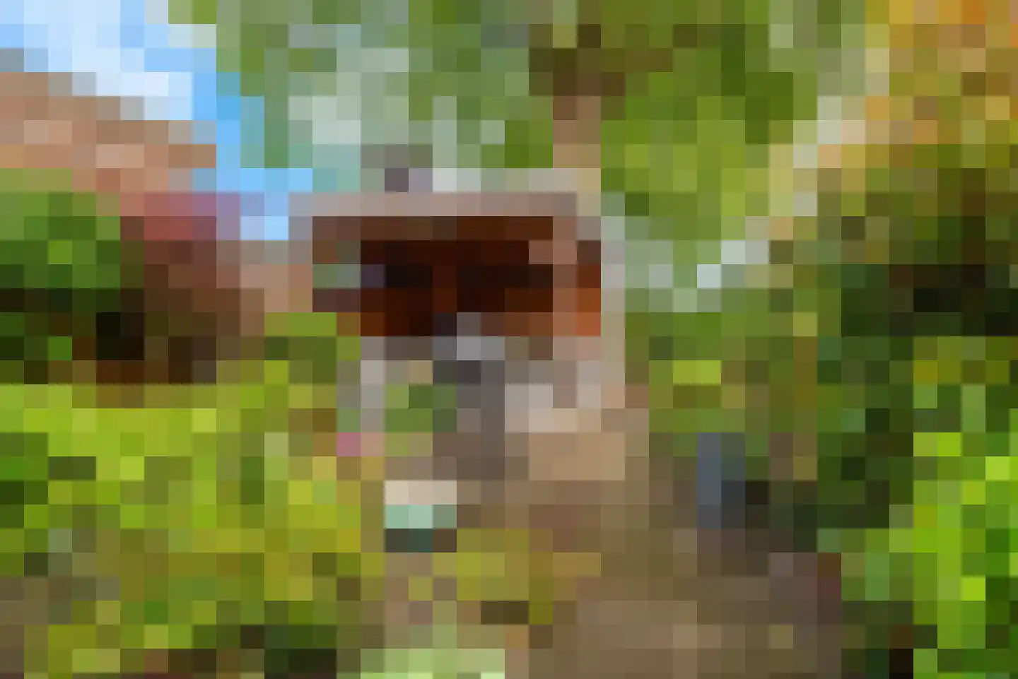 Pastoor Verhoevenhof 21 Schijndel thumbnail 39