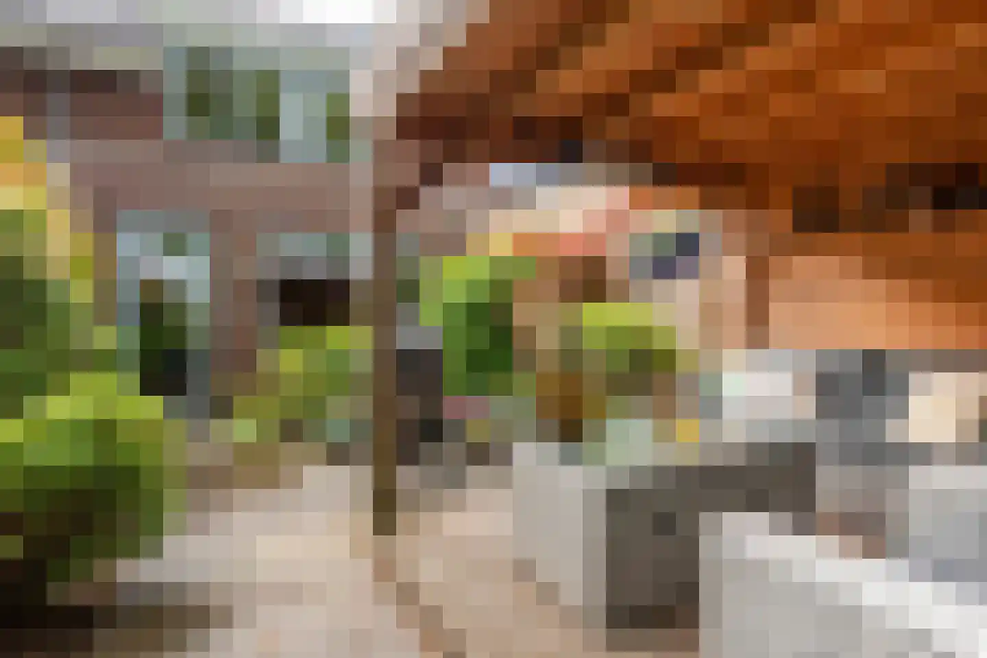 Pastoor Verhoevenhof 21 Schijndel thumbnail 4