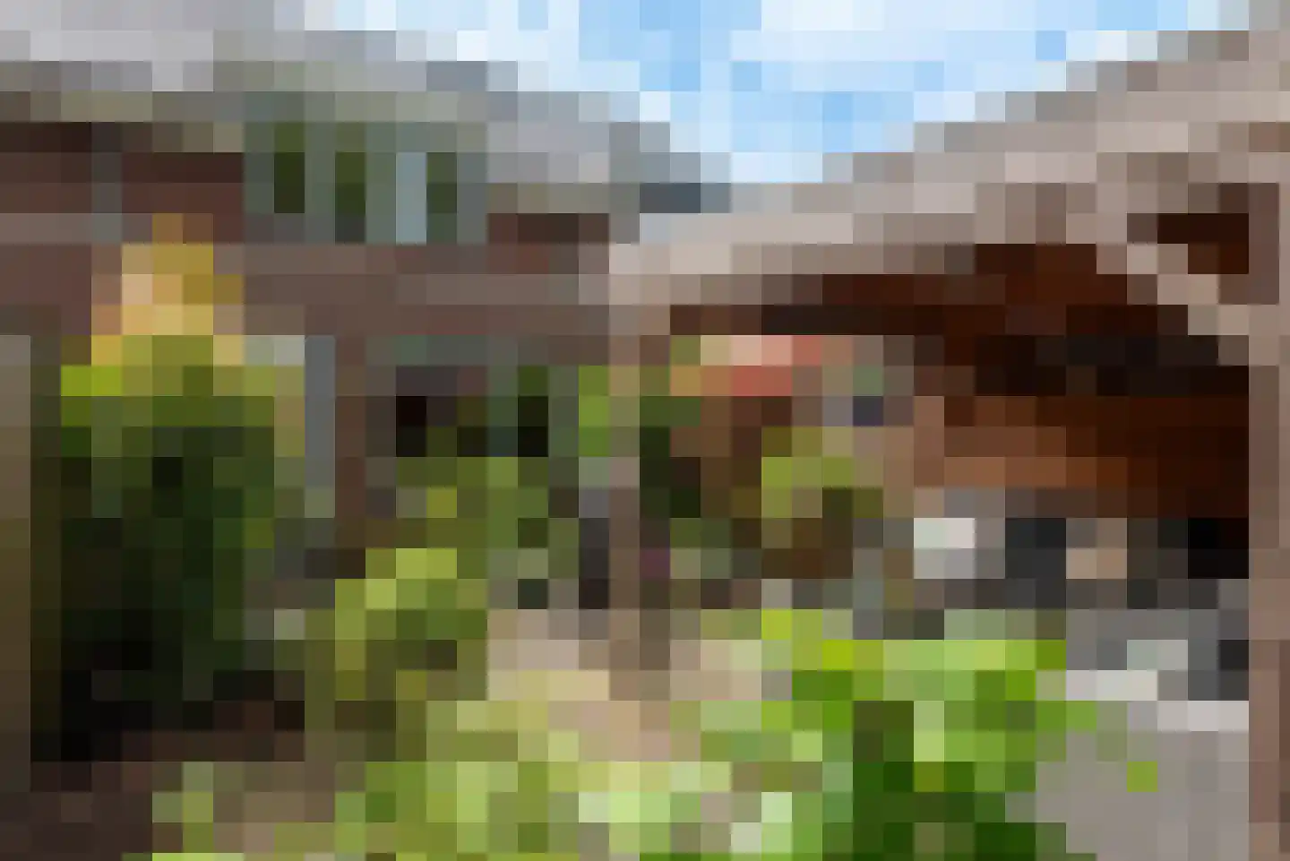 Pastoor Verhoevenhof 21 Schijndel thumbnail 43