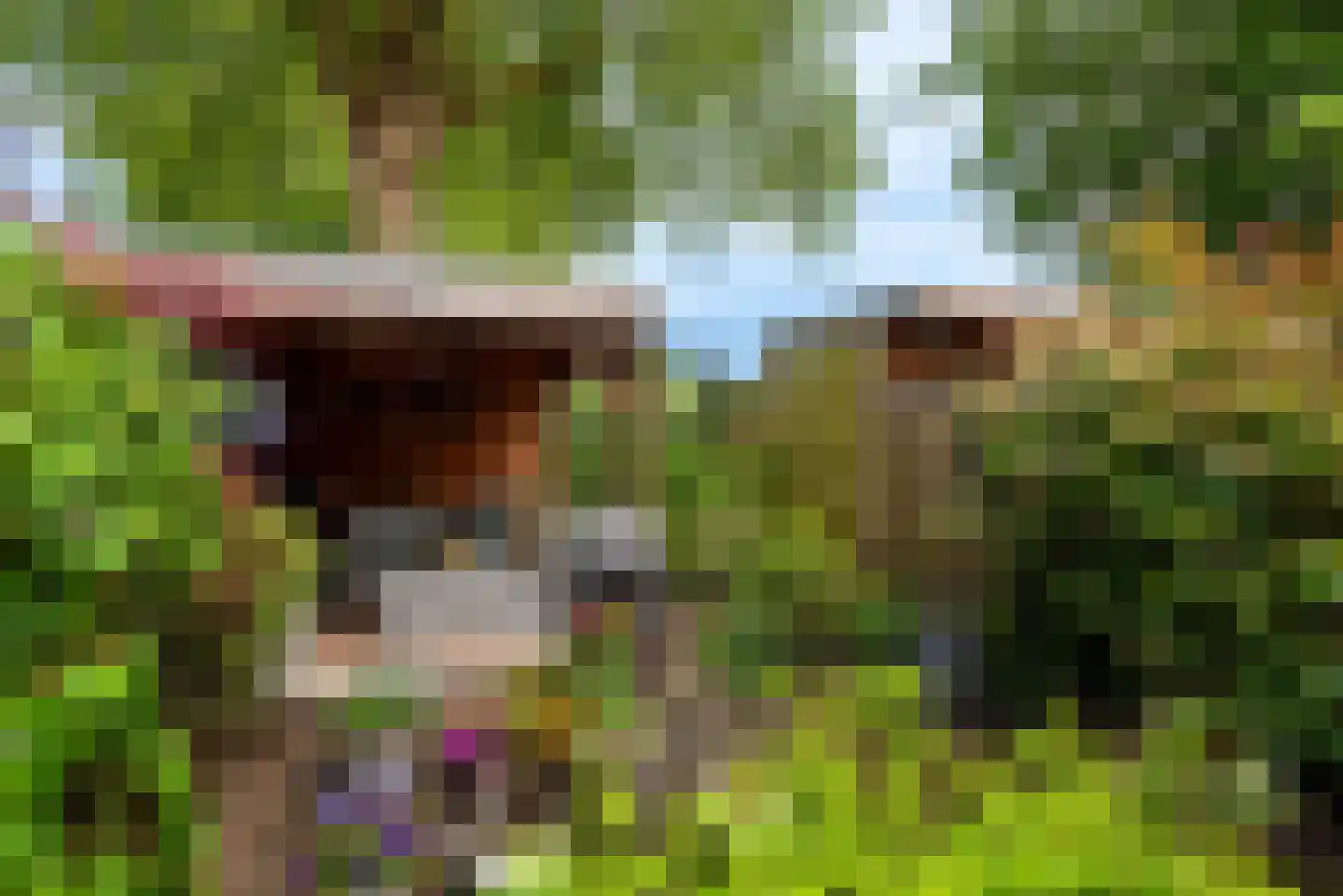 Pastoor Verhoevenhof 21 Schijndel thumbnail 45
