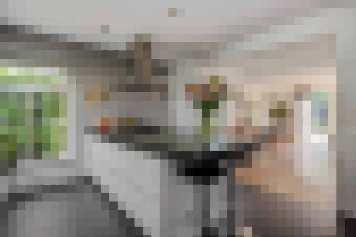 Pastoor Verhoevenstraat 14 's-Hertogenbosch thumbnail 12