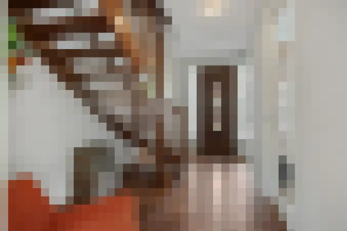 Pastoor Verhoevenstraat 14 's-Hertogenbosch thumbnail 17