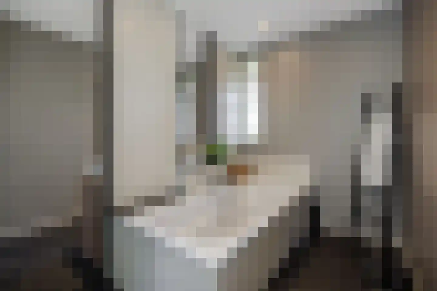 Pastoor Verhoevenstraat 14 's-Hertogenbosch thumbnail 23