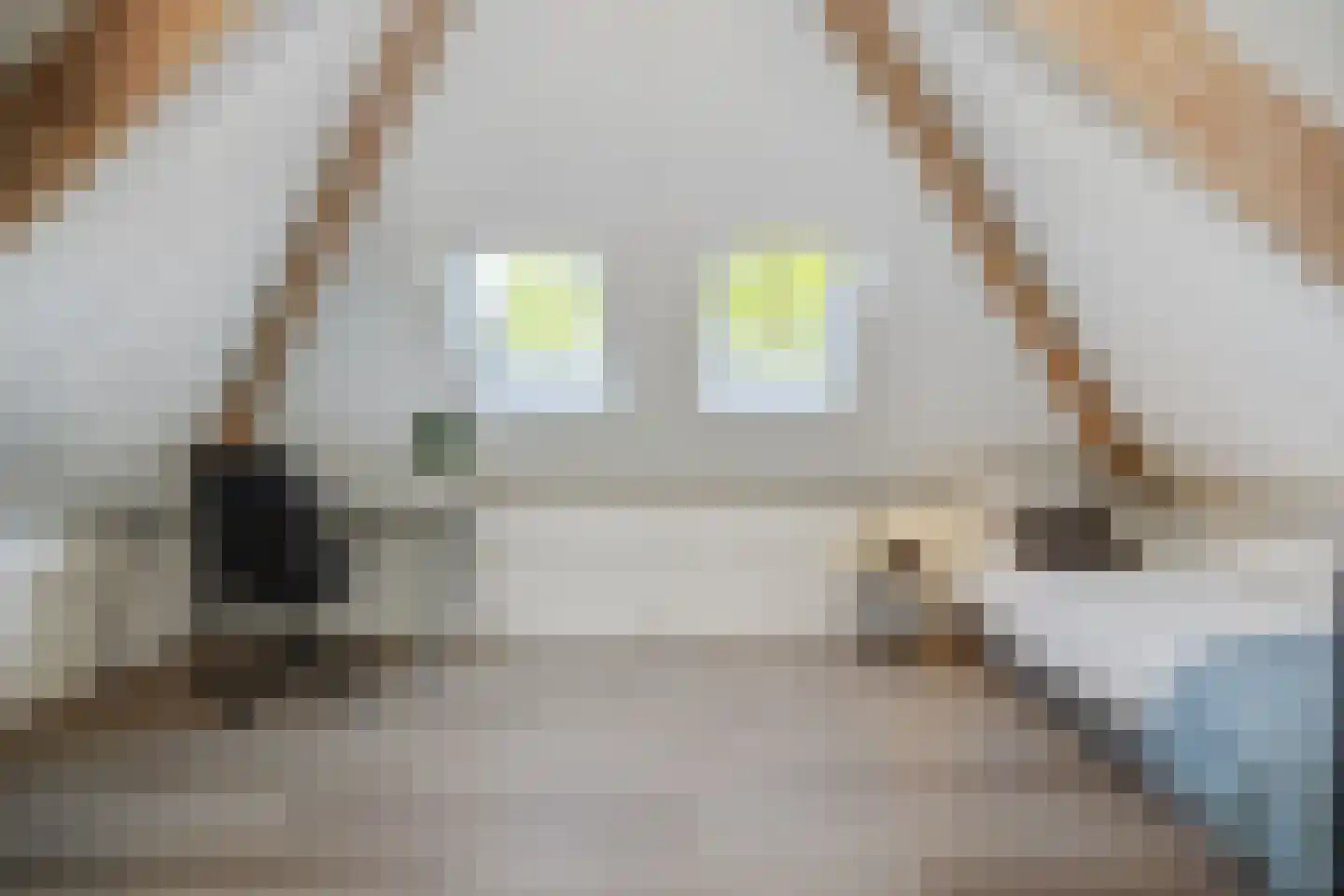 Pastoor Verhoevenstraat 14 's-Hertogenbosch thumbnail 29