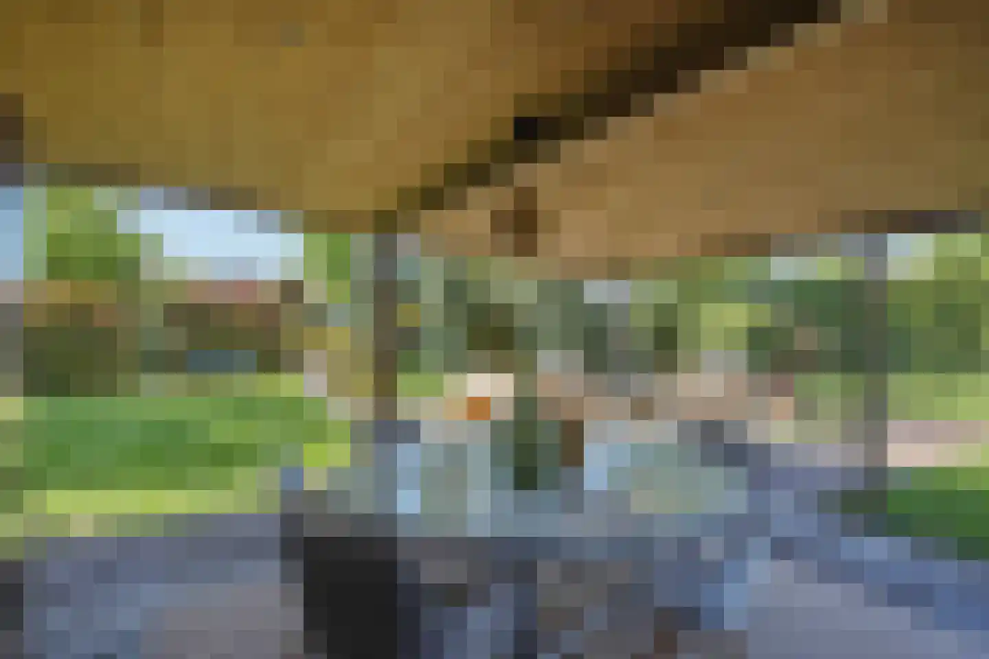 Pastoor Verhoevenstraat 14 's-Hertogenbosch thumbnail 40
