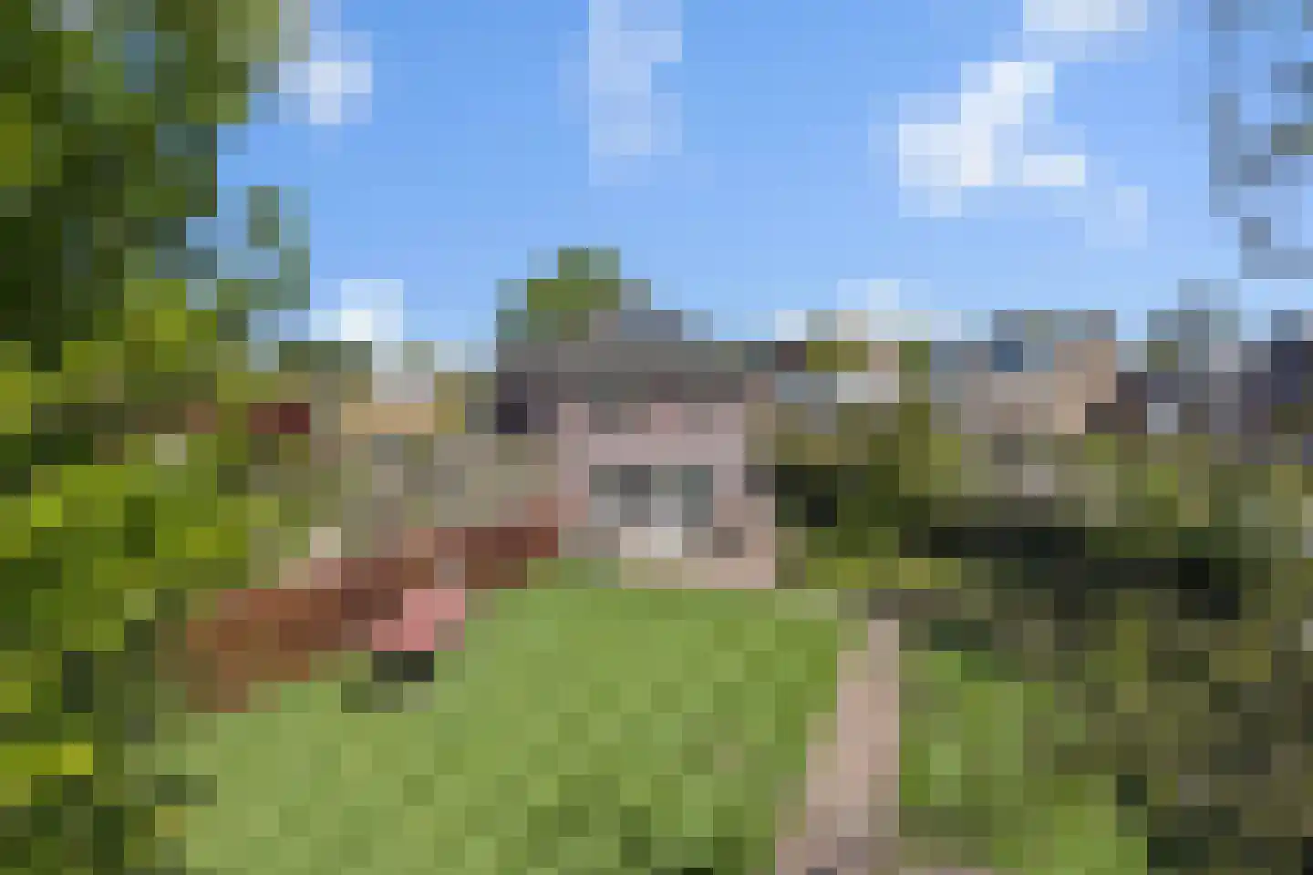 Pastoor Verhoevenstraat 14 's-Hertogenbosch thumbnail 45