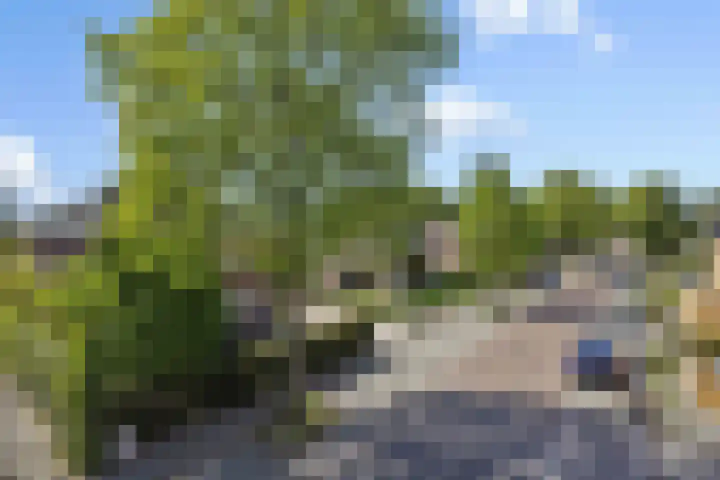 Pastoor Verhoevenstraat 14 's-Hertogenbosch thumbnail 49