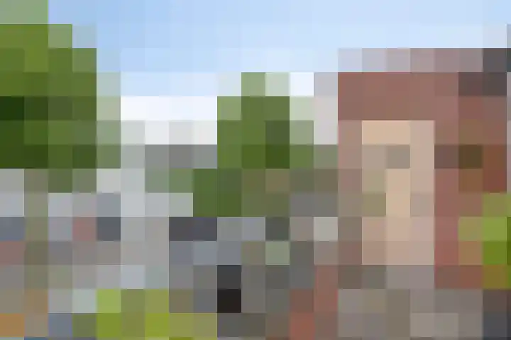 Pastoor Verhoevenstraat 43 's-Hertogenbosch thumbnail 18