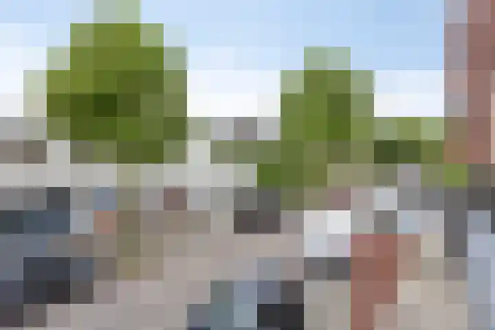 Pastoor Verhoevenstraat 43 's-Hertogenbosch thumbnail 19