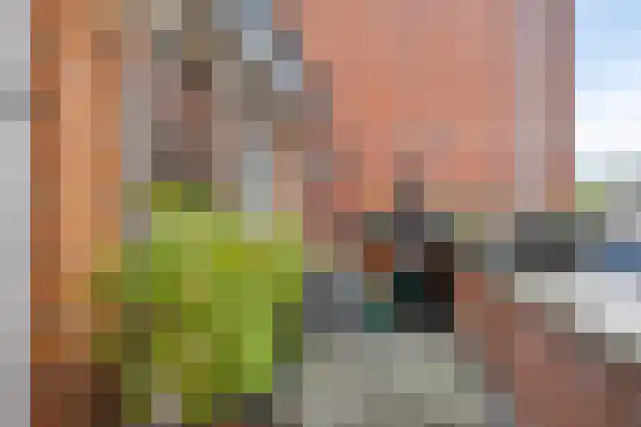 Pastoor Verhoevenstraat 43 's-Hertogenbosch thumbnail 21