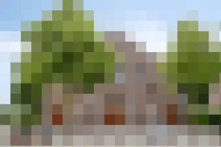 Pastoor Verhoevenstraat 43 's-Hertogenbosch thumbnail 28