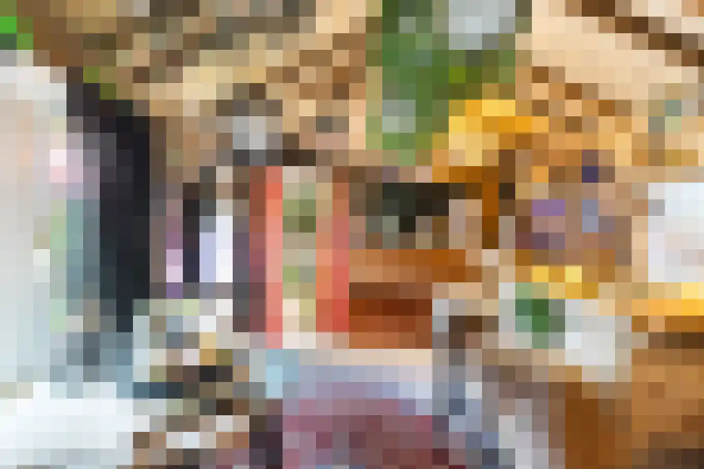 Pastoor Vermuntstraat 22 Ulvenhout thumbnail 31