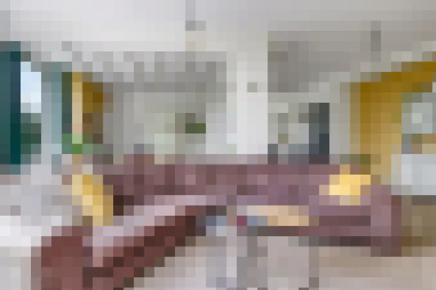 Pastoor Versteegstraat 1 Angeren thumbnail 23