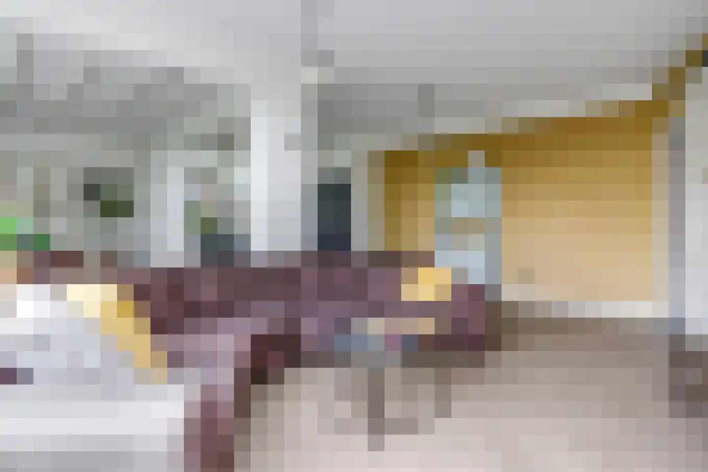 Pastoor Versteegstraat 1 Angeren thumbnail 25