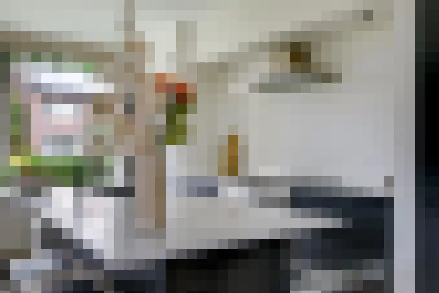 Pastoor Versteegstraat 1 Angeren thumbnail 30