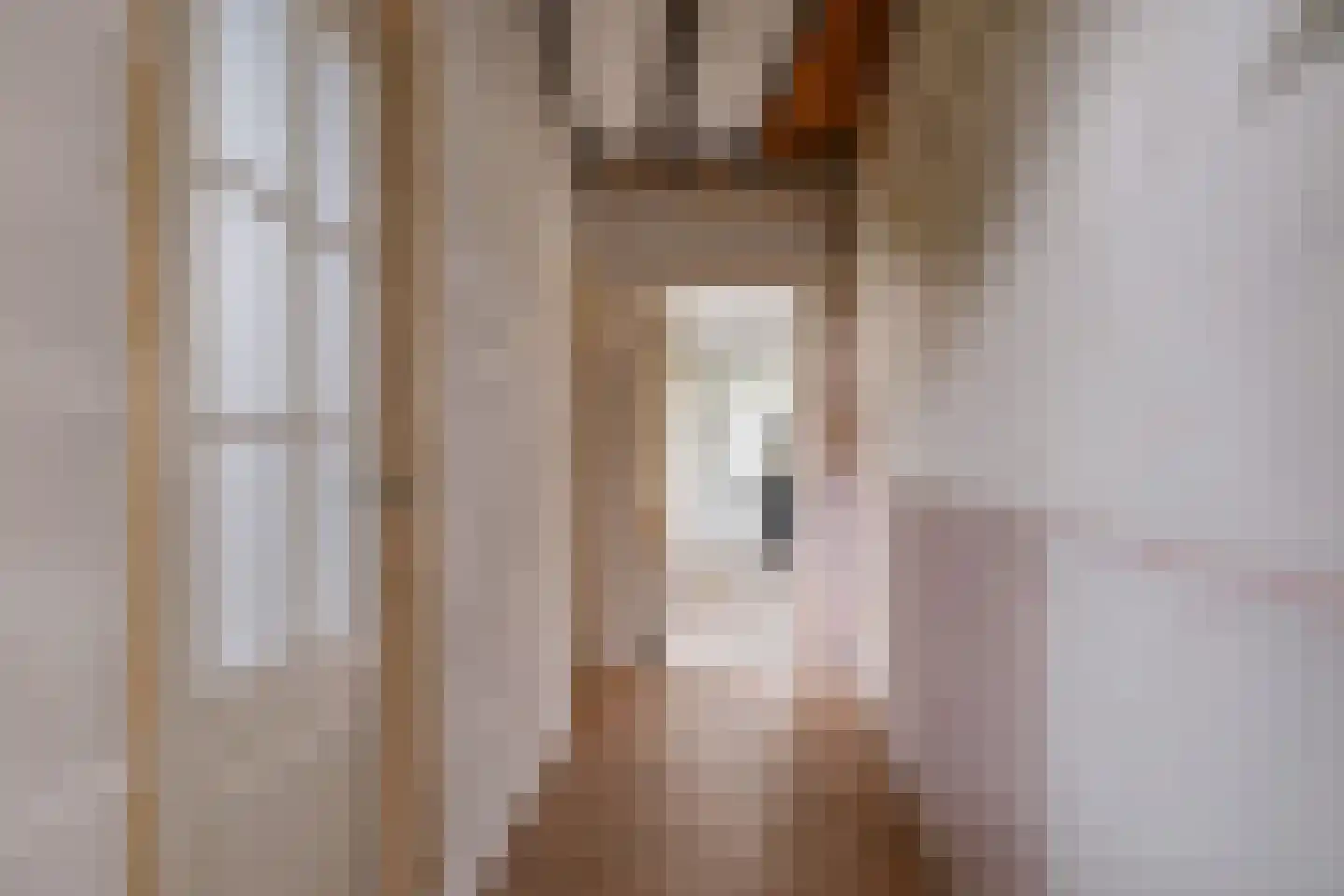 Pastoor Versteegstraat 1 Angeren thumbnail 39