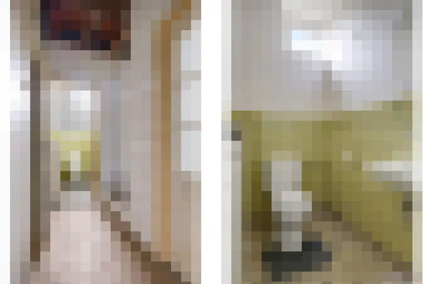 Pastoor Versteegstraat 1 Angeren thumbnail 40