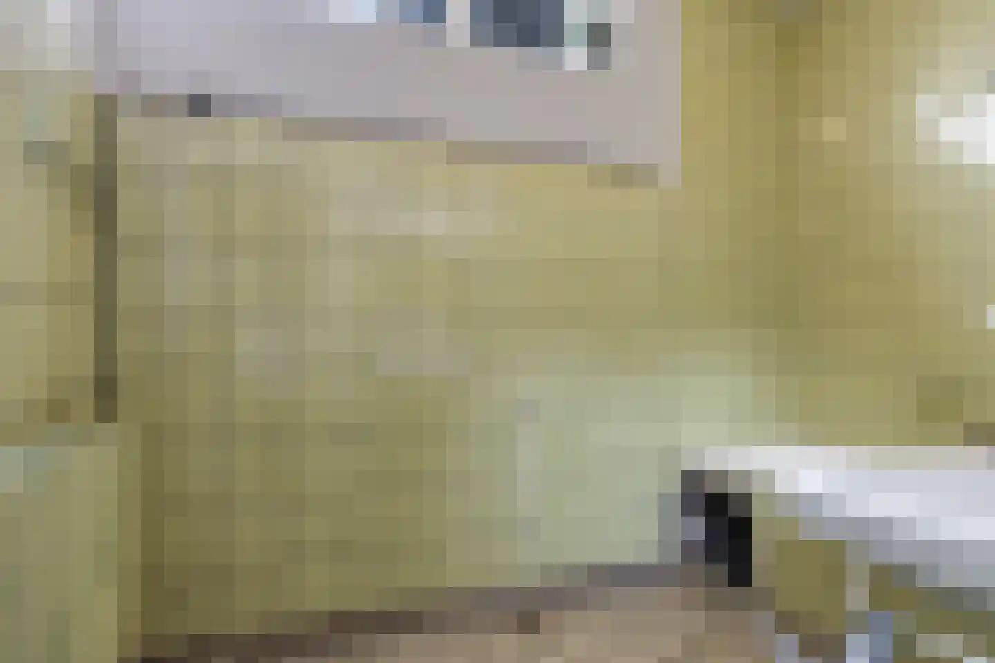Pastoor Versteegstraat 1 Angeren thumbnail 41