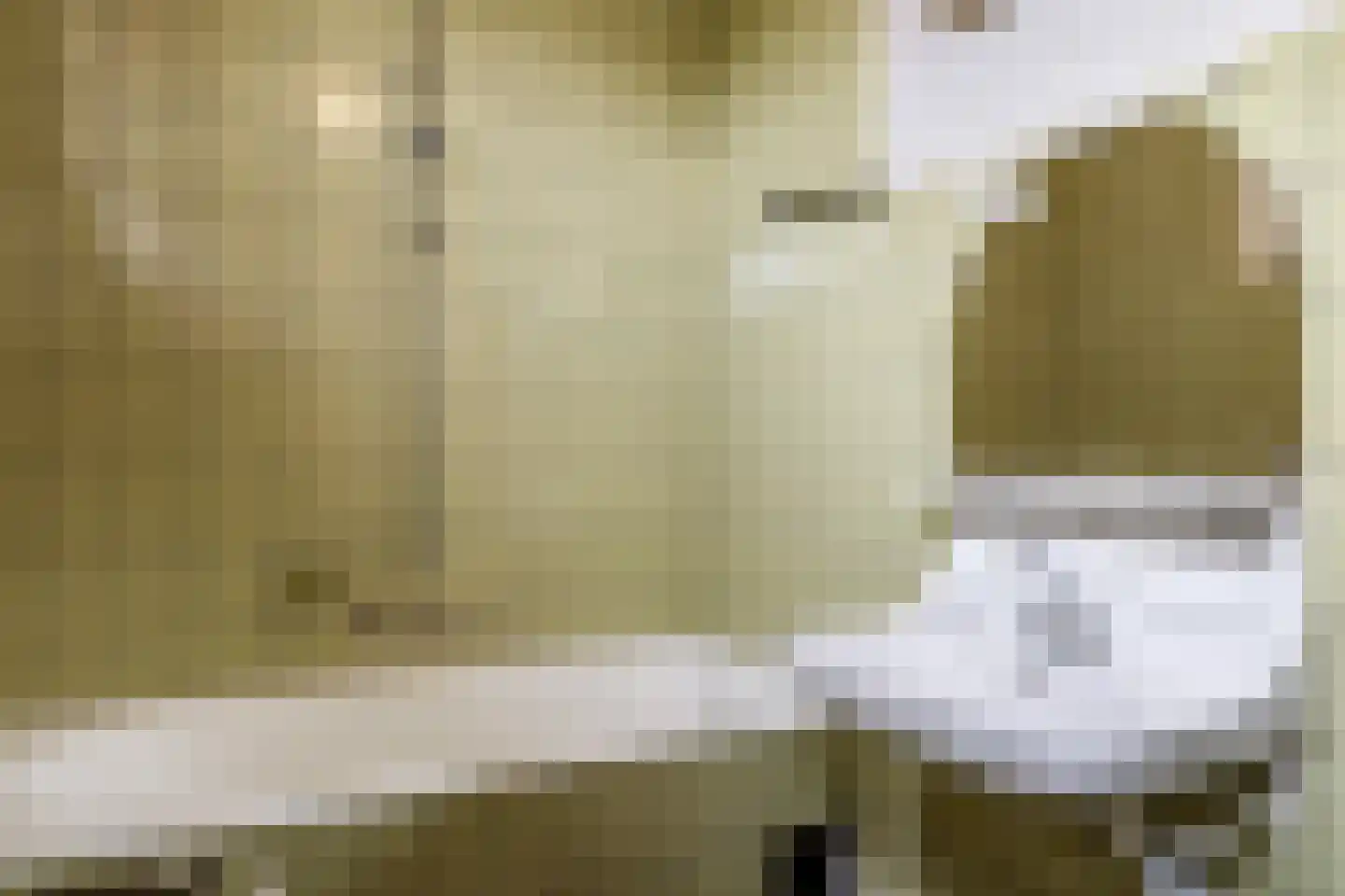 Pastoor Versteegstraat 1 Angeren thumbnail 42