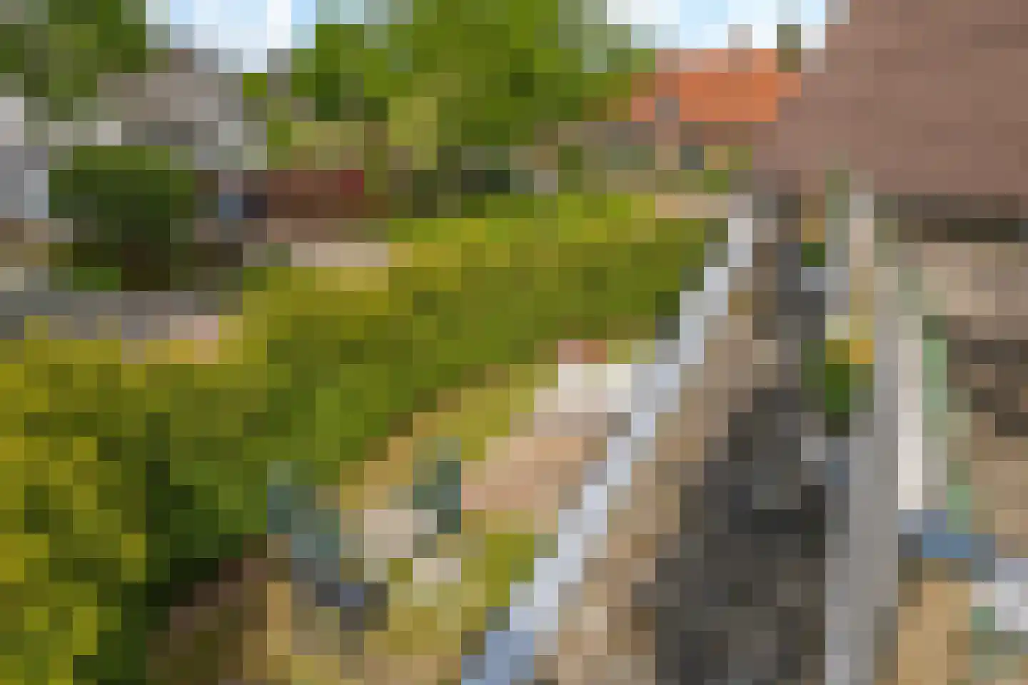 Pastoor Versteegstraat 1 Angeren thumbnail 60