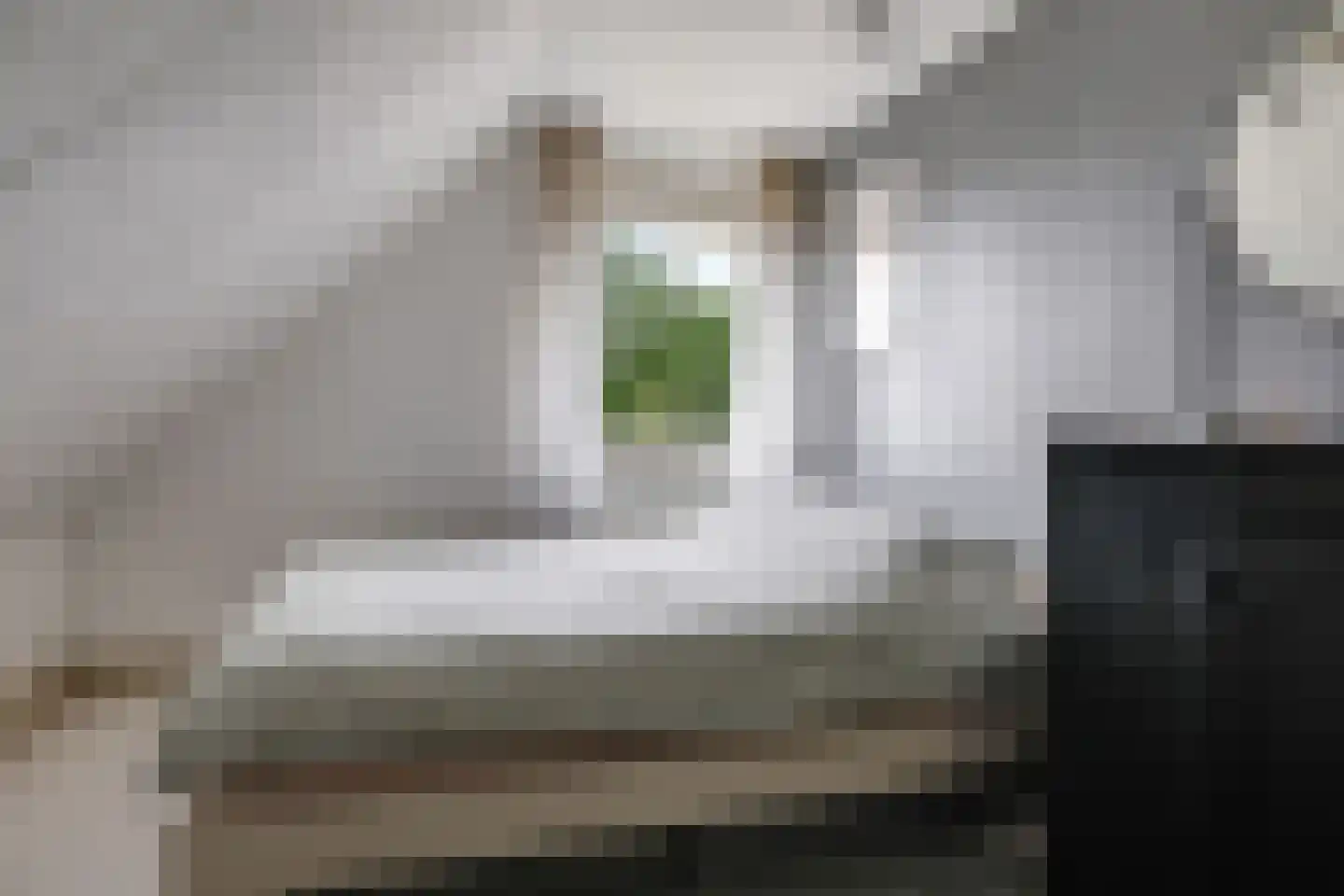 Pastoor Versteegstraat 1 Angeren thumbnail 62