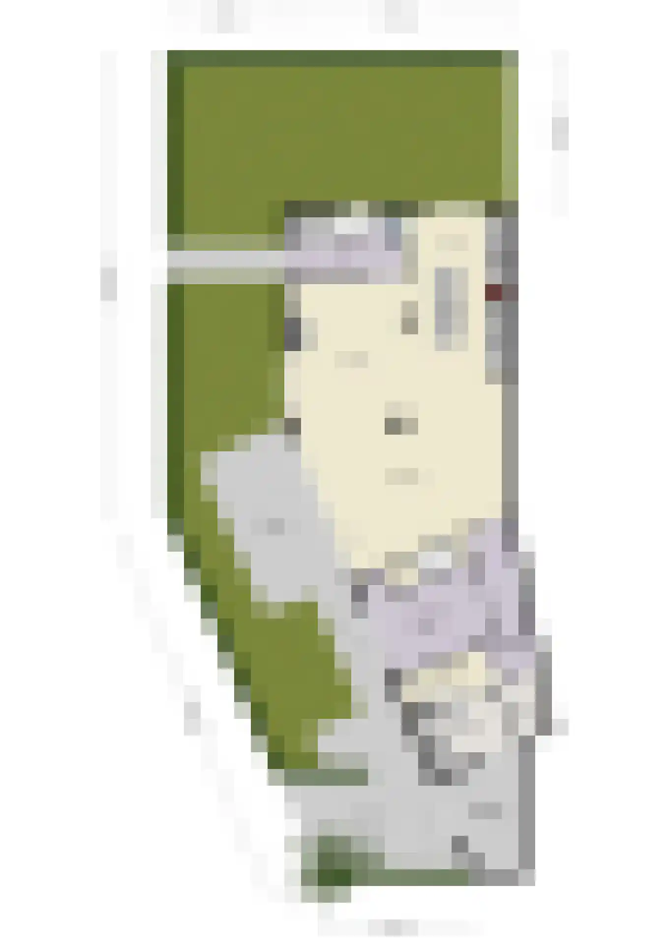 Pastoor Versteegstraat 1 Angeren thumbnail 71