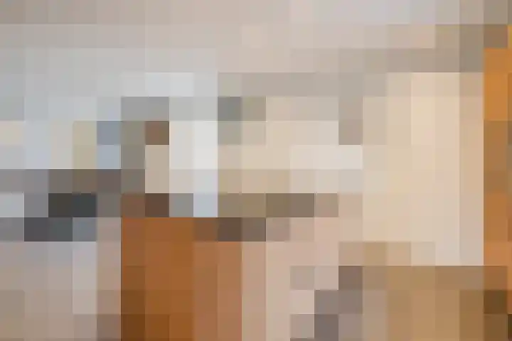Pastoor Verstijnenstraat 3 A Haghorst thumbnail 19