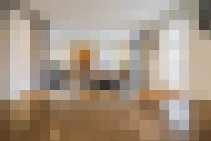 Pastoor Verstijnenstraat 3 A Haghorst thumbnail 20
