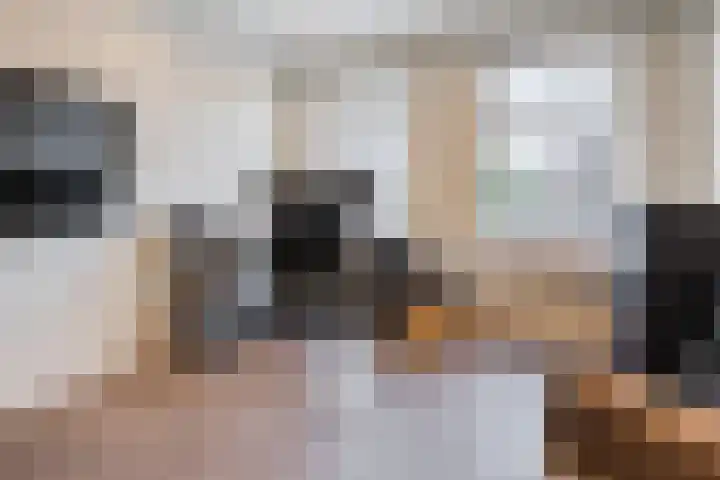 Pastoor Verstijnenstraat 3 A Haghorst thumbnail 26