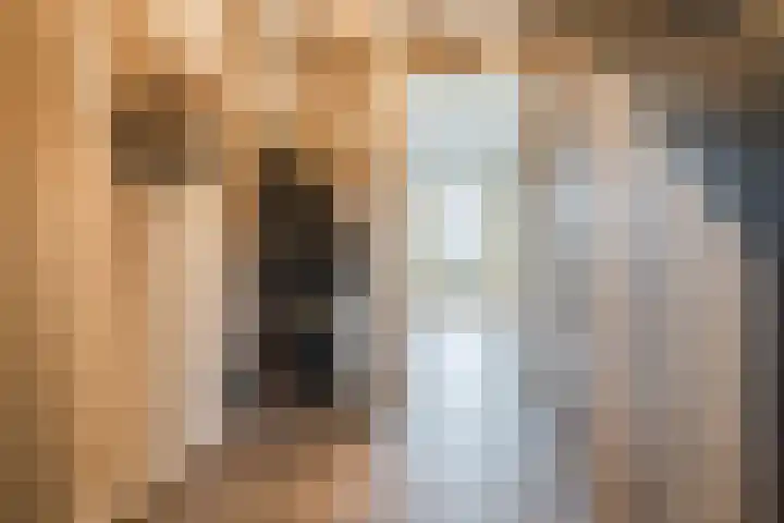 Pastoor Verstijnenstraat 3 A Haghorst thumbnail 28