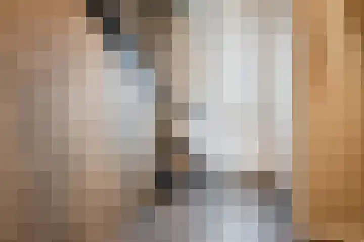 Pastoor Verstijnenstraat 3 A Haghorst thumbnail 29