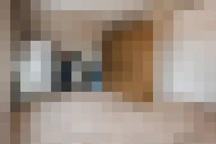 Pastoor Verstijnenstraat 3 A Haghorst thumbnail 38
