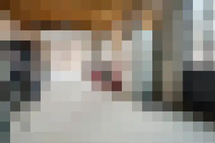 Pastoor Verstijnenstraat 3 A Haghorst thumbnail 57
