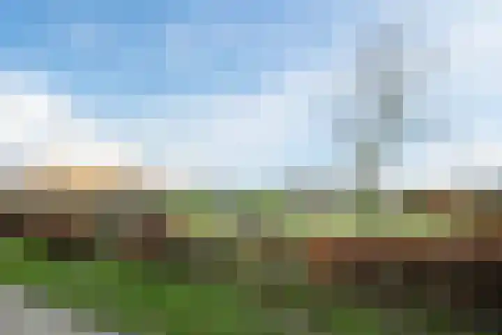 Pastoor Verstijnenstraat 3 A Haghorst thumbnail 68