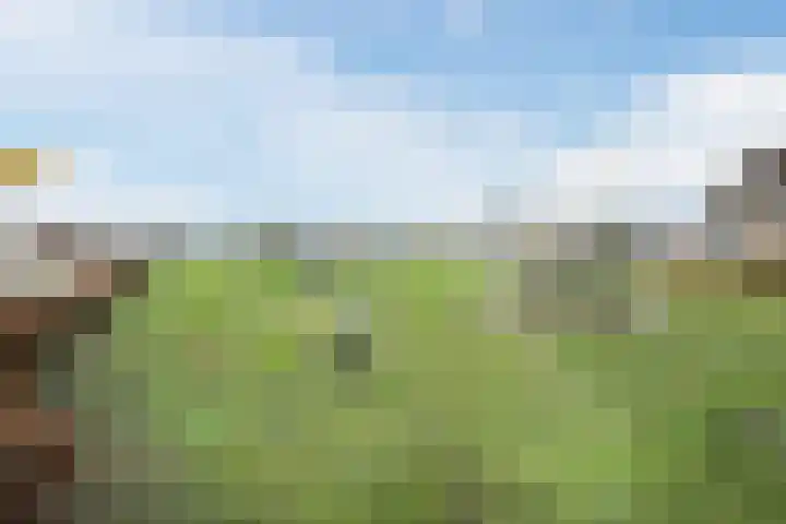Pastoor Verstijnenstraat 3 A Haghorst thumbnail 69