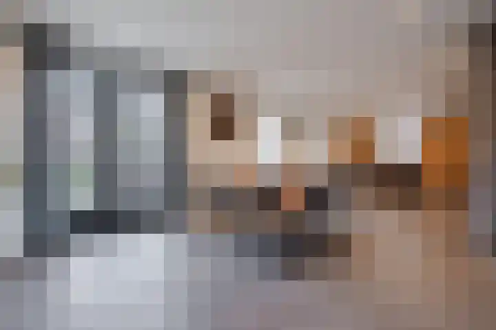 Pastoor Verstijnenstraat 3 A Haghorst thumbnail 9