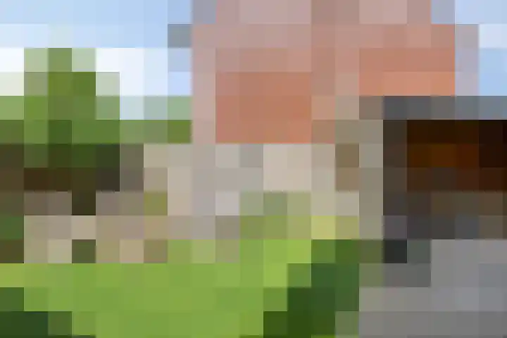 Pastoor Verstijnenstraat 4 Haghorst thumbnail 28