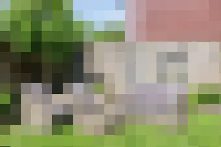 Pastoor Verstijnenstraat 4 Haghorst thumbnail 31