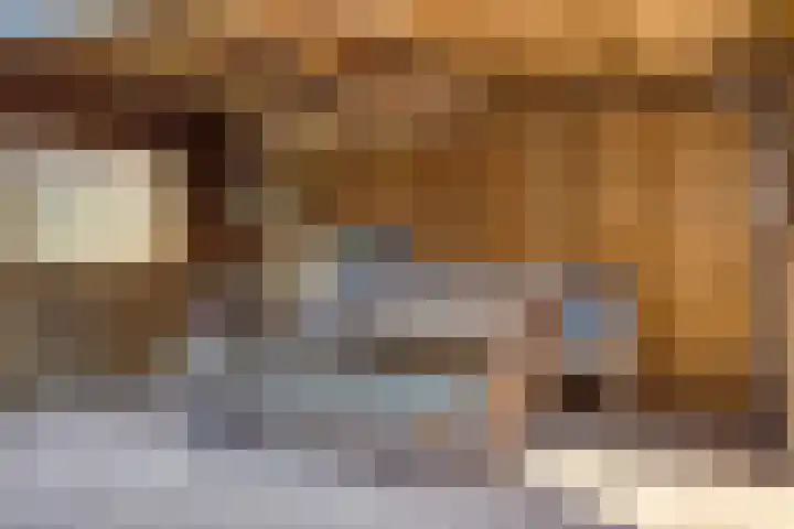 Pastoor Verstijnenstraat 4 Haghorst thumbnail 32