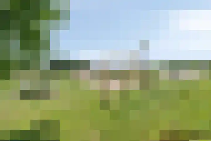 Pastoor Verstijnenstraat 4 Haghorst thumbnail 35