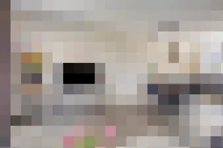 Pastoor Verstijnenstraat 4 Haghorst thumbnail 4